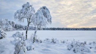Mädajärv