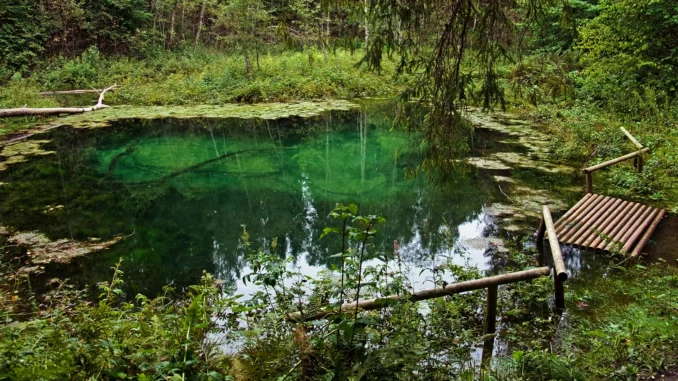 Saula siniallikad