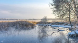 Saadjärv