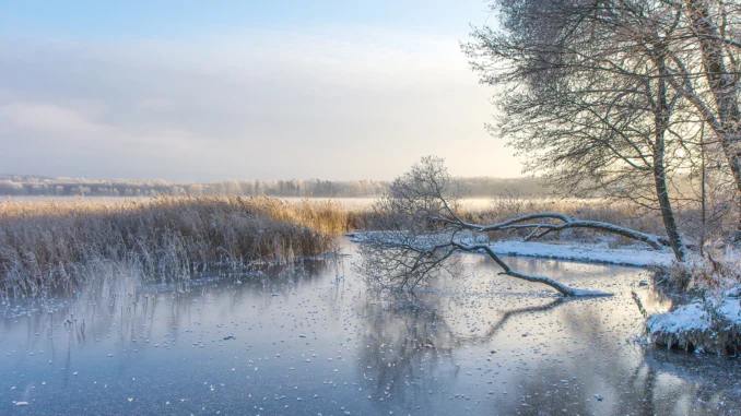 Saadjärv
